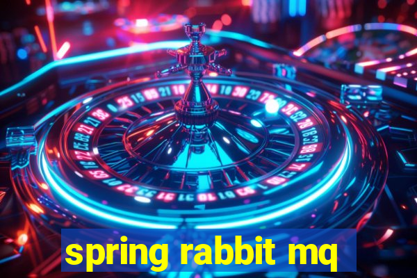 spring rabbit mq